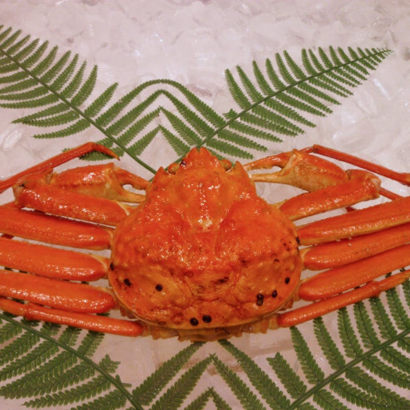 松葉ガニ（800g以上）×1枚 ※訳あり | 仲屋食品｜松葉ガニ・岩ガキの
