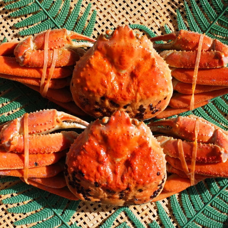 松葉ガニ（700g以上800g未満）×2枚※訳あり | 仲屋食品｜松葉ガニ
