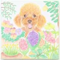 『Hello Spring』作家名：Junko Atsumi