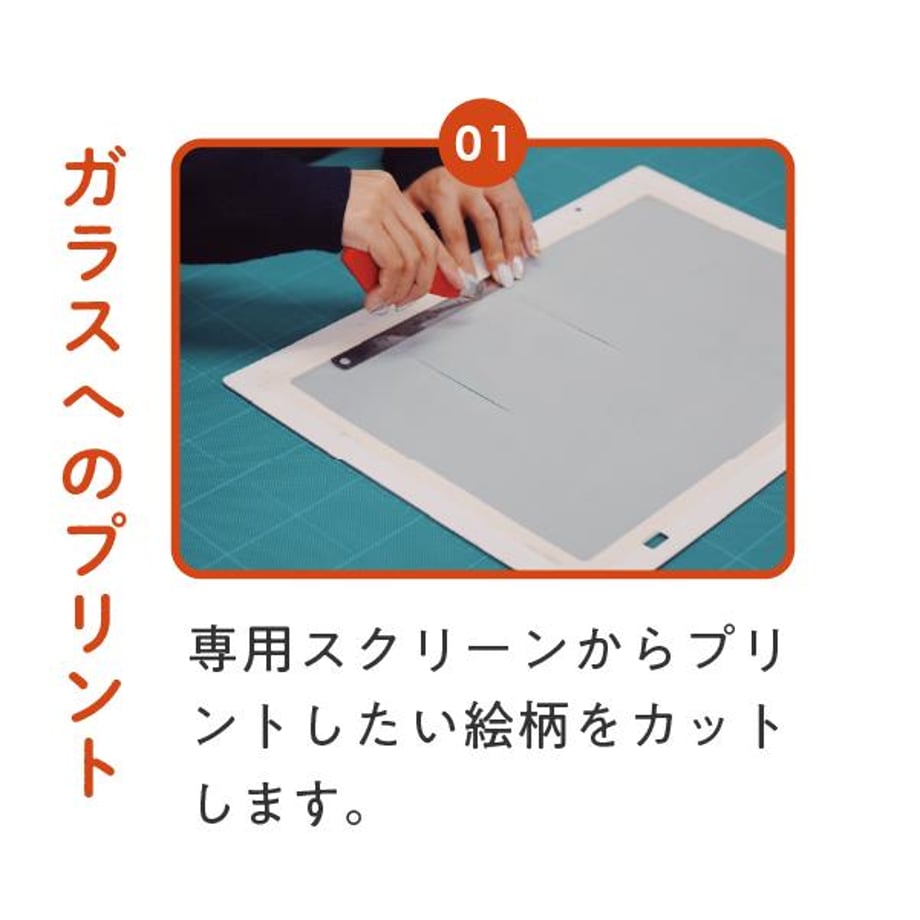 676ce91bfc566002da09d923