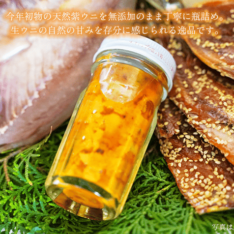 【数量限定!!】玄海の宝セット
