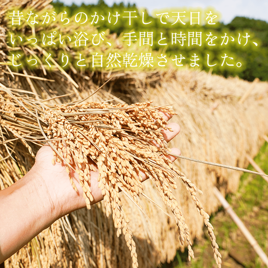 6361d186c808a46c61bd6740