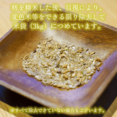 【幻のお米!!】令和5年産 長崎県壱岐産山信米 ひのひかり（新米・かけ干し） 3kg