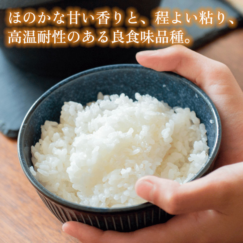 新米令和5年度産 新米 無農薬玄米 長崎県産なつほのか - 米・雑穀・粉類