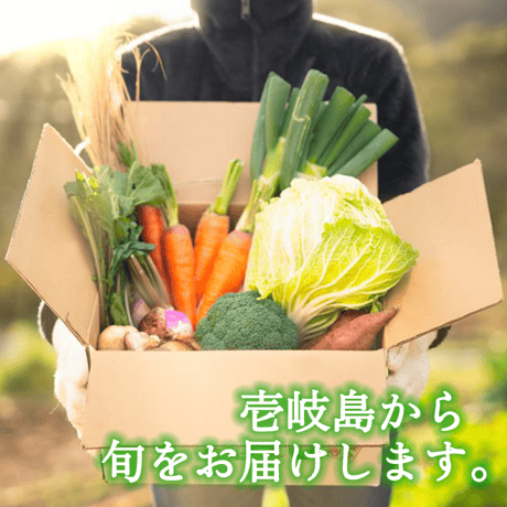 【定期便】 壱岐産旬のお野菜10品セット