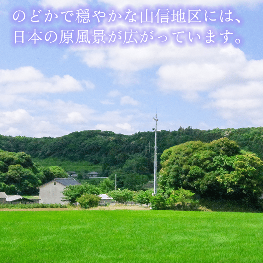 6361d186c808a46c61bd6740