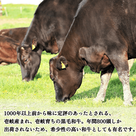 【数量限定!!】壱岐牛肩ロース焼肉用 500g