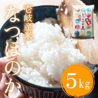 令和７年産 長崎県壱岐産 なつほのか 5kg