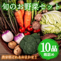 壱岐産旬のお野菜10品セット
