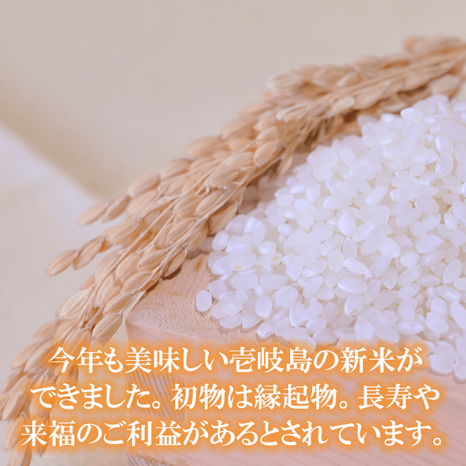 6121c205e494335bfc3ee5a8