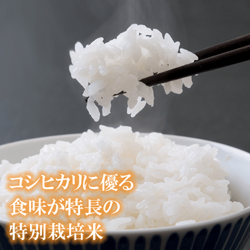 令和7年産 長崎県壱岐産 つや姫 10kg | 壱岐めし | 粋なごはんを、食卓に。