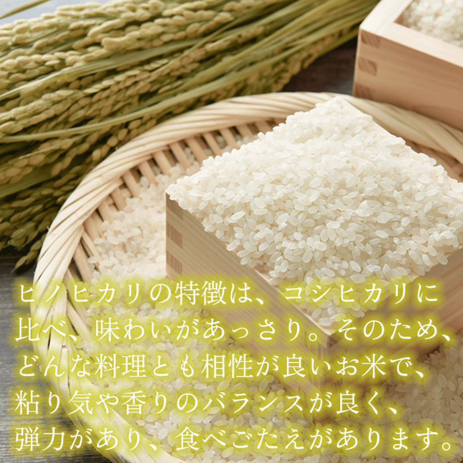 6361d186c808a46c61bd6740