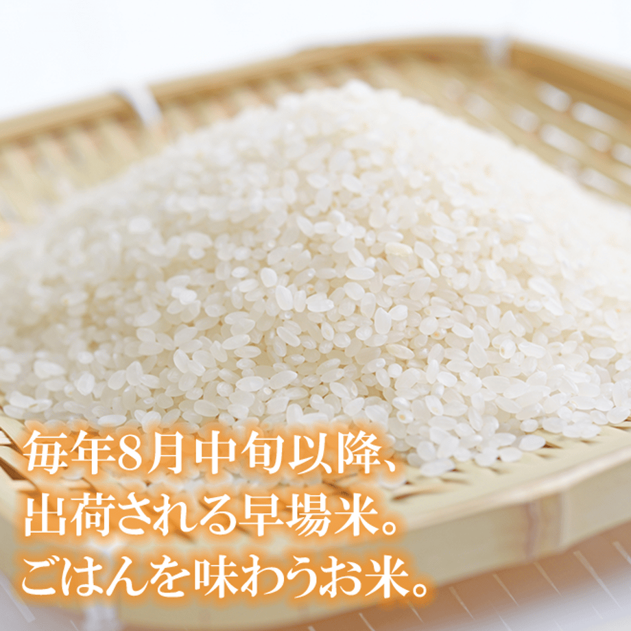 6163e2b3e1fb4c06519ce44f