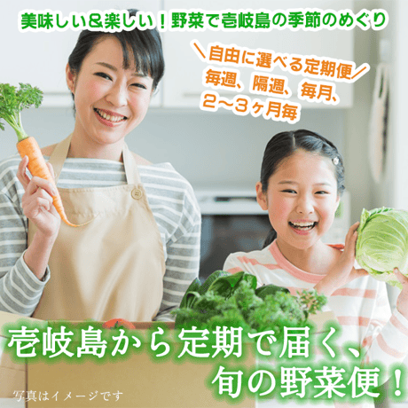 【定期便】 壱岐産旬のお野菜10品セット