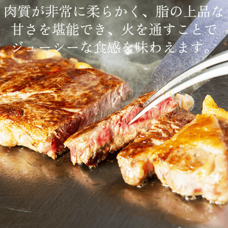 【数量限定!!】壱岐牛サーロインステーキ 500g（2枚合計）