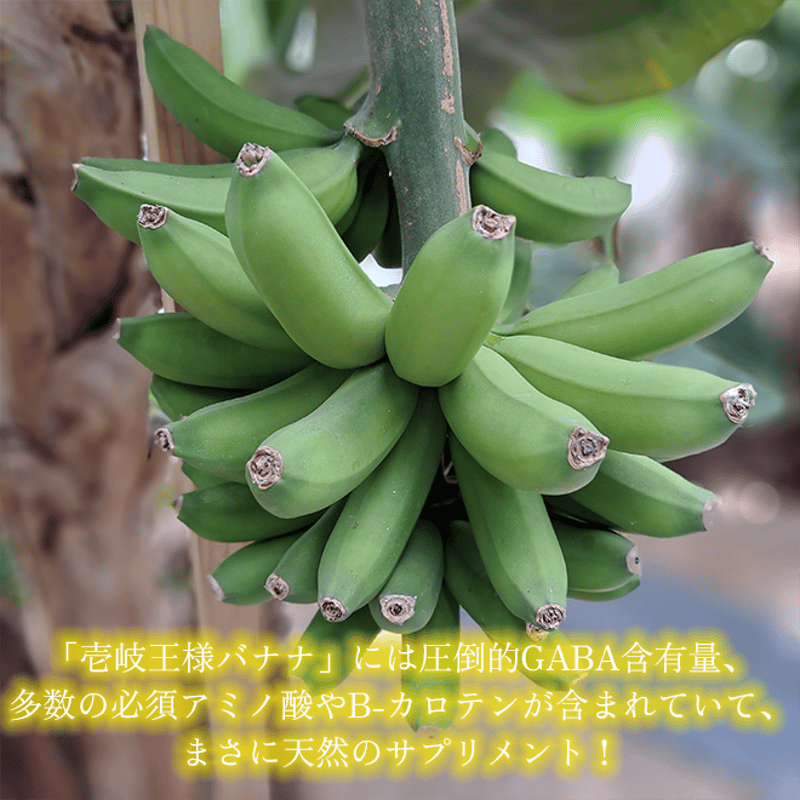 バナナリーフアイスクリーム 6個セット | 壱岐めし | 粋なごはんを