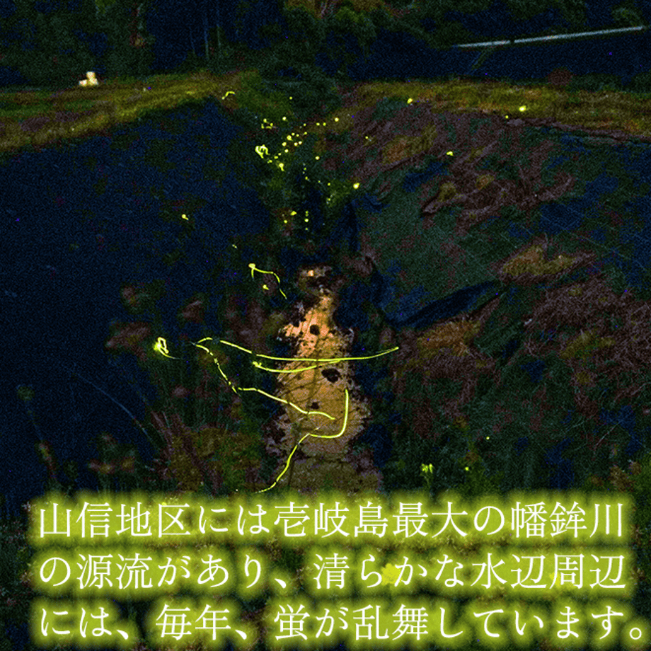 6361d186c808a46c61bd6740