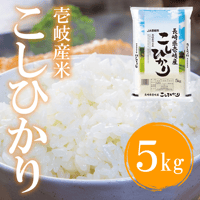 令和７年産 壱岐産 こしひかり 5kg