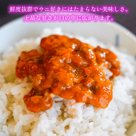 【令和8年産新物!】長崎県壱岐産 天然 紫ウニ（60g）