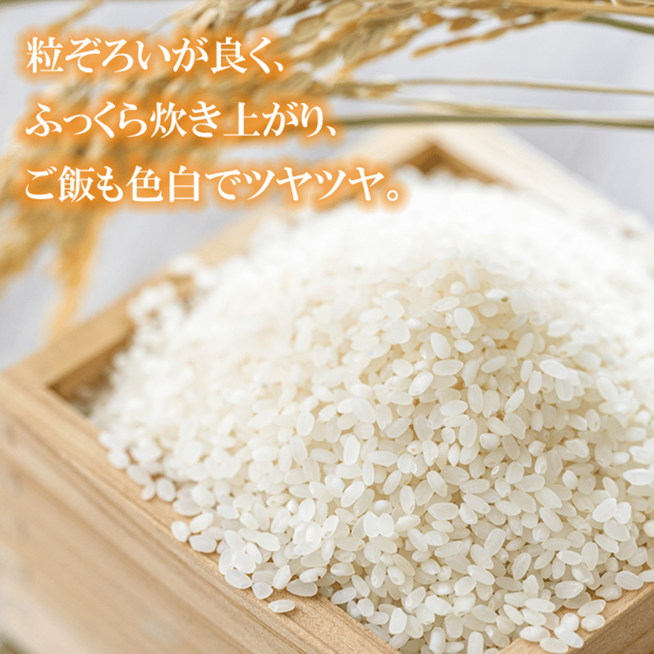 6121c5a37acd164922c85769