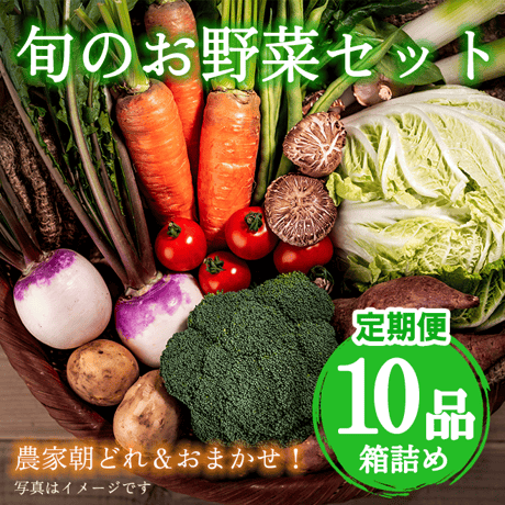 【定期便】 壱岐産旬のお野菜10品セット