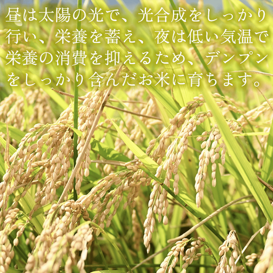 6361d186c808a46c61bd6740