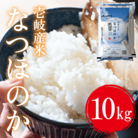 令和７年産 長崎県壱岐産 なつほのか 10kg