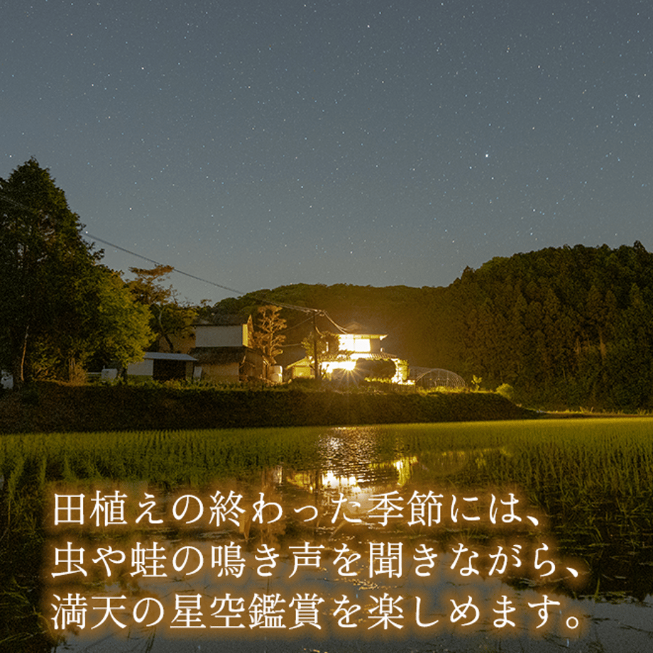 6361d186c808a46c61bd6740
