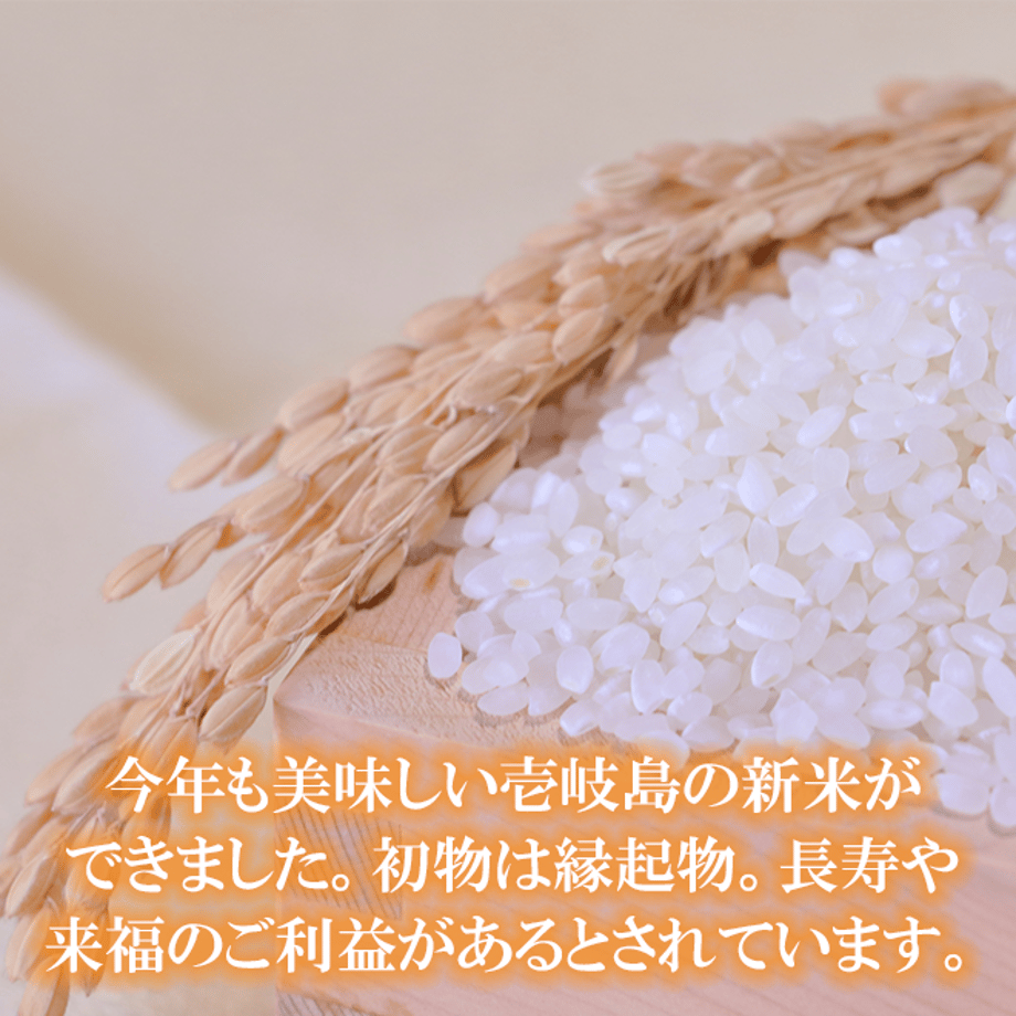 6163d4d7c1209647bb9eedf7