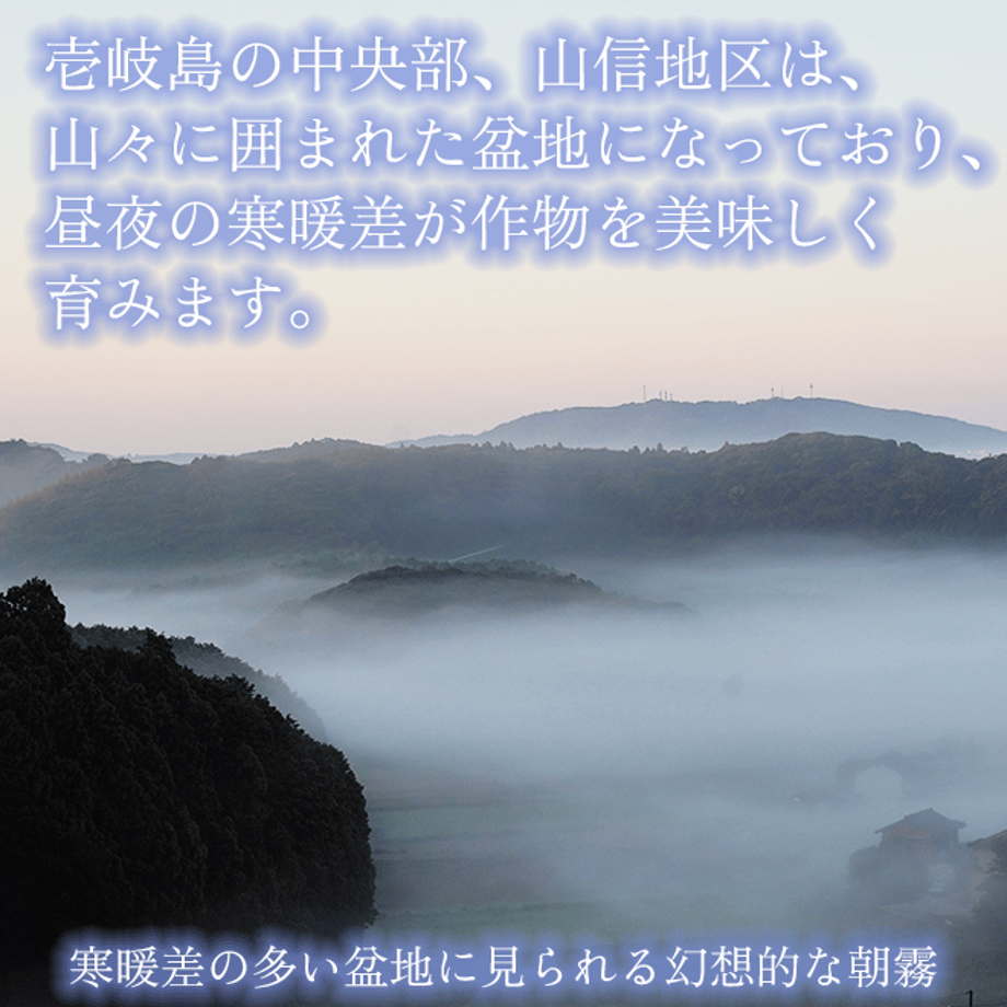 6361d186c808a46c61bd6740
