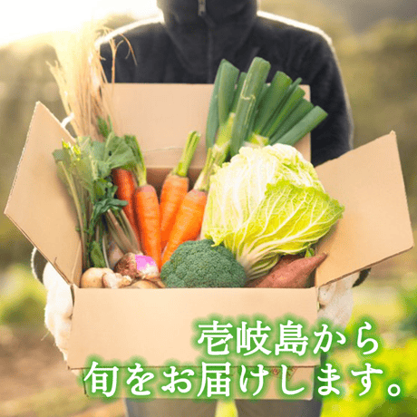壱岐産旬のお野菜10品セット