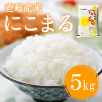 令和７年産 長崎県壱岐産 にこまる 5kg