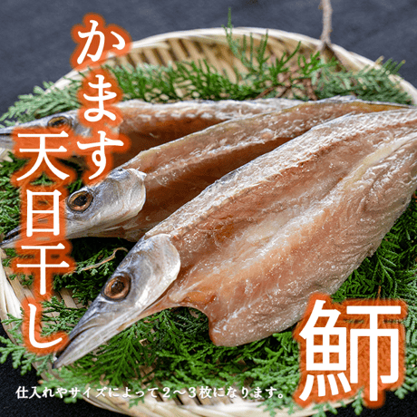 干物屋つかもとの人気干物 ３種セット