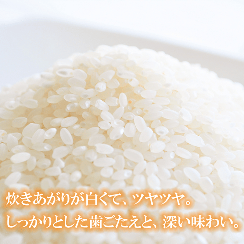 大崎市産つや姫　いったん受付け停止中 tsuyahime-g30kg-1-300x300.jpg