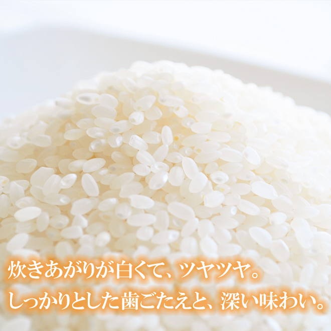 令和7年産 長崎県壱岐産 つや姫 10kg | 壱岐めし | 粋なごはんを、食卓に。
