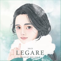 【完売御礼】LEGARE マスカットベーリーA 2022