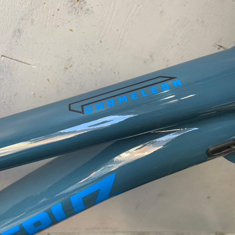 Santacruz Chameleon 2024 Mサイズ 送料無料 | 明雅屋STORE