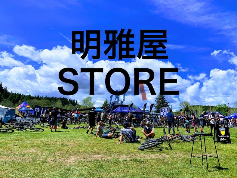 ★maaya様確認用★ DAISHIN 2個セット センサーライト 屋外 ソーラーライト 磁石
