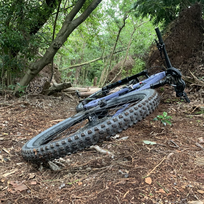 Vittoria MAZZA Trail TNT 27.5 29 | 明雅屋STORE