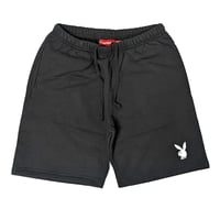 シュプリーム コラボハーフパンツ　SUPREME SS16SW34(BLACK)