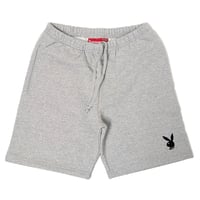 シュプリーム コラボハーフパンツ　SUPREME SS16SW34(HEATHER)