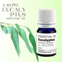 ユーカリプタスオイル（グロブルス）