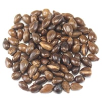 国産ハトムギ茶｜大容量サイズ｜