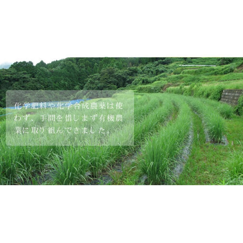 635b8b494292bf3880caf5ca