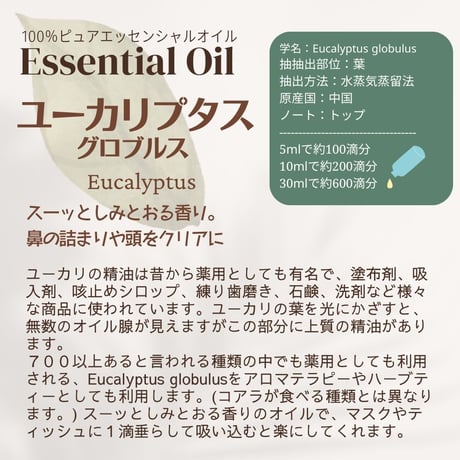 ユーカリプタスオイル（グロブルス）