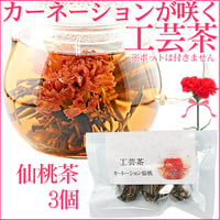 工芸茶カーネーション