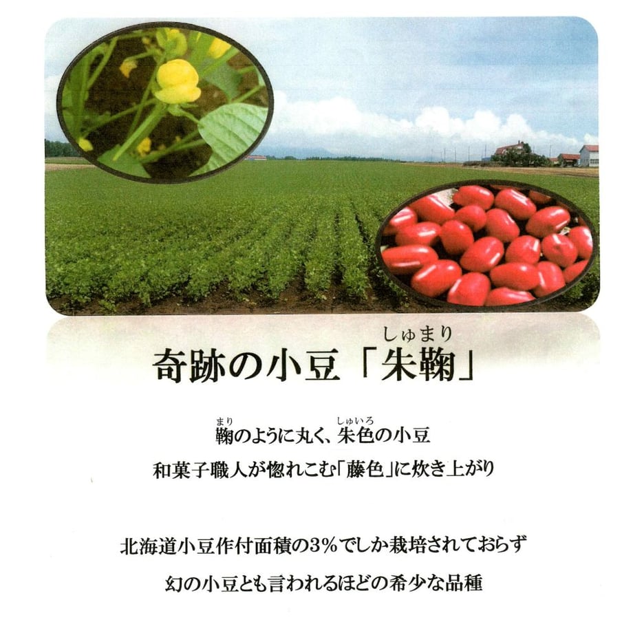 682d8fea85f63400657cbe40