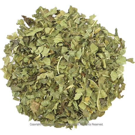 マルベリー｜大容量サイズ｜