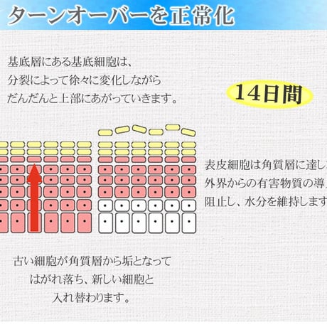 総合美容液（モイストS）  希釈水を一切使用せず原液のみを配合した高濃度美容液