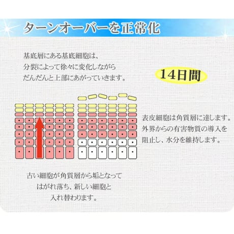 洗顔クリーム（モイストB）  健康な素肌のPHの極力近づけた弱酸性の洗顔料